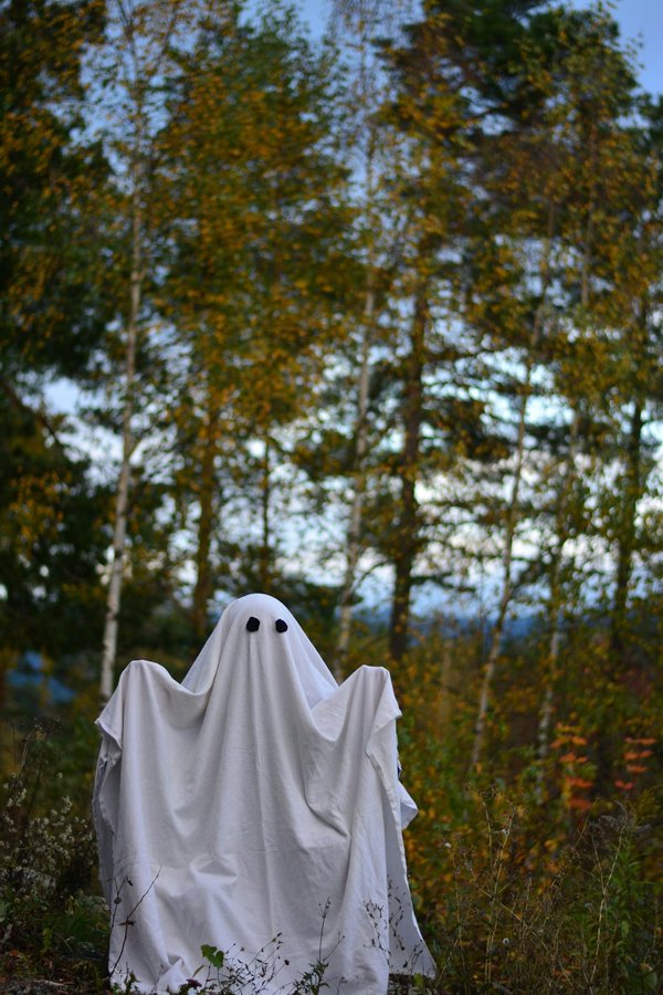 Créer votre site internet ou blog facilement avec ghost cms