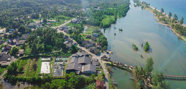 Est-ce que le Doliprane soigne l'angine ?